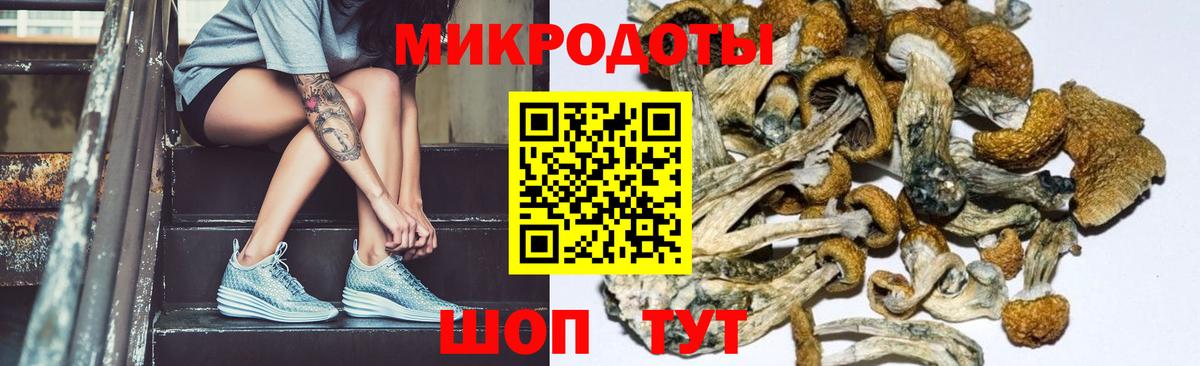 Краснознаменск  Галлюциногенные грибы прущие грибы  Вход с VPN 